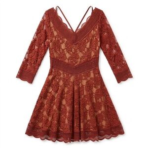 🐦‍🔥🐦‍🔥Free People Burgundy Lace Long Sleeve Dress